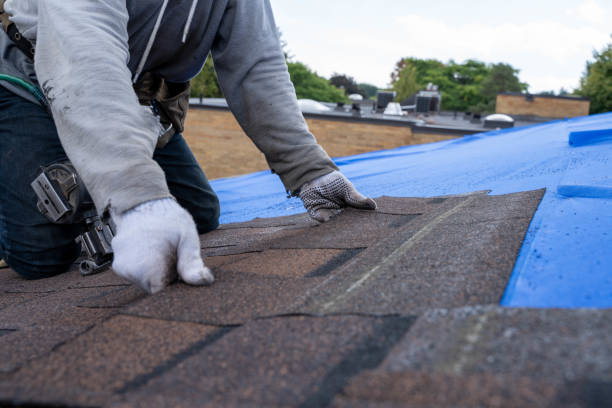 Best New Roof Installation  in Santa Claus, IN